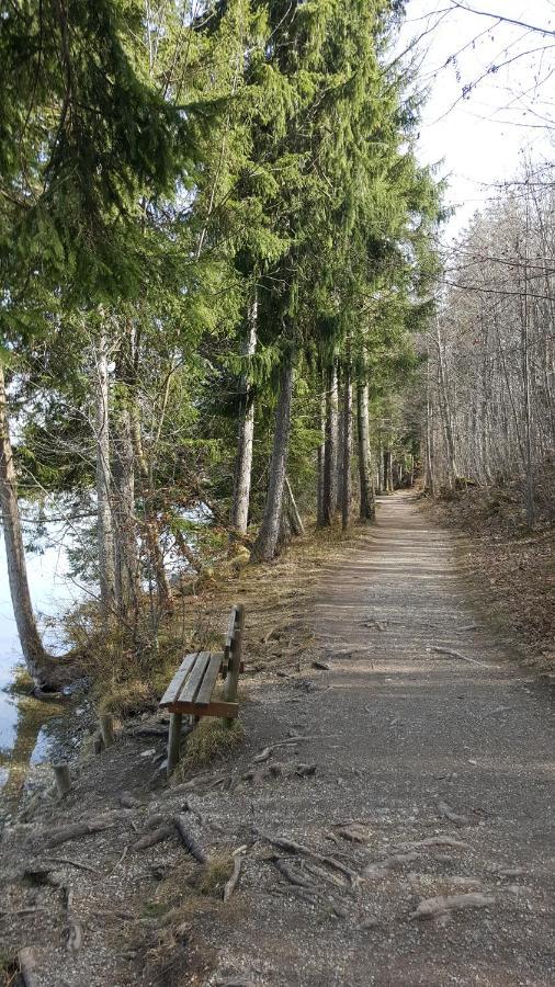 Fewo Friado Im Ferienpark Oa - Ohne Zusatzkosten Nach Anreise - Mit Hallenbad, W-Lan, Pkw-Garage, Kurtaxe Mit Allgaeu-Walser-Pass, Bett- Und Handtuch-Waesche Sowie End-Reinigung Missen-Wilhams Eksteriør billede